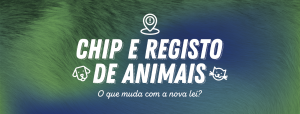 Chip e registo animais