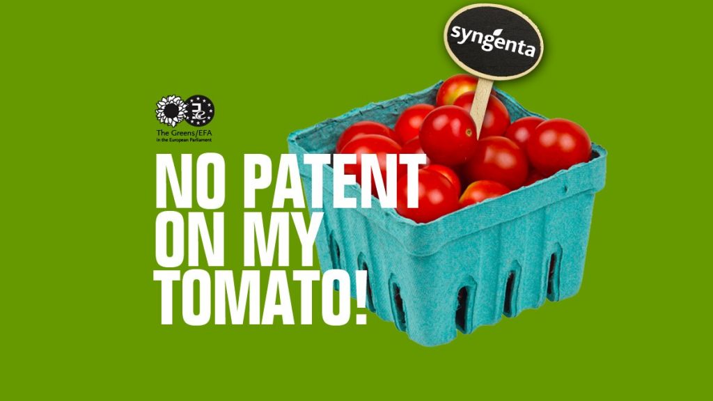 Patentes Tomate