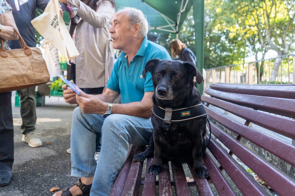 Cão e cidadão em Matosinhos, sentados num banco