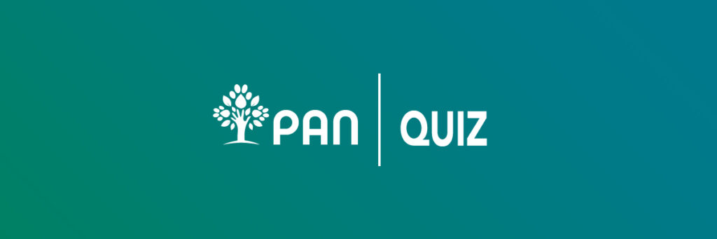 Quiz PAN | Eleições